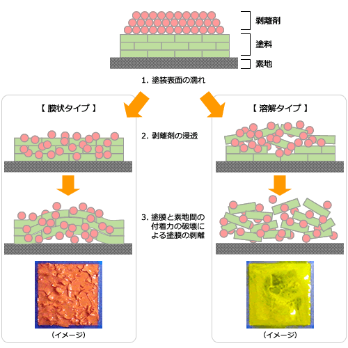 剥離のメカニズム - 三彩化工株式会社 -